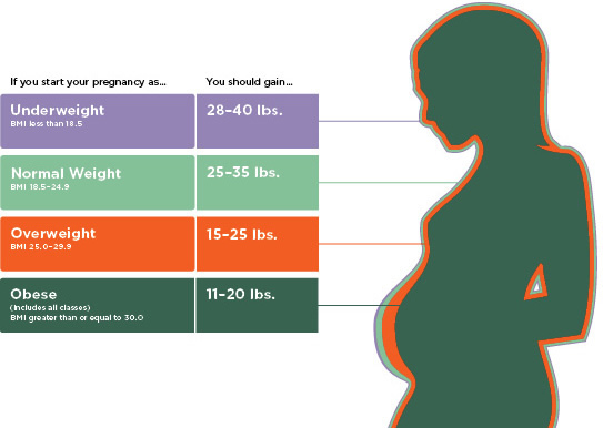 flexible dieting when pregnant